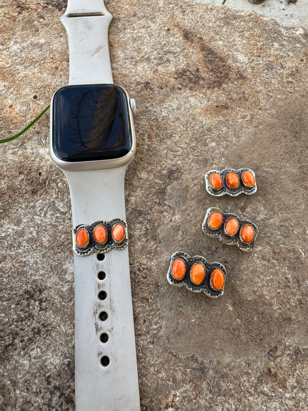 Spiny Watchband Slide