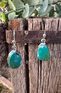 Arizona Turquoise Earrings #5